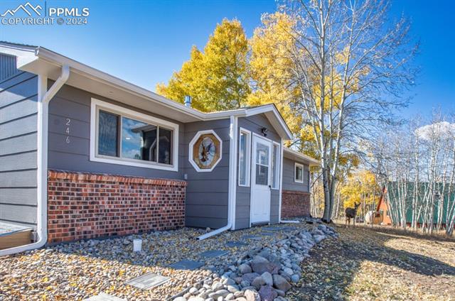 MLS Image for 246  Maid Marian  ,Divide, Colorado