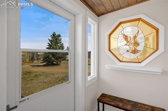 MLS Image for 246  Maid Marian  ,Divide, Colorado