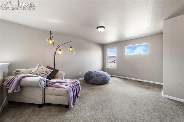 MLS Image for 10549  Kelowna  ,Colorado Springs, Colorado