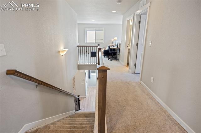 MLS Image for 2579  Tempest  ,Colorado Springs, Colorado