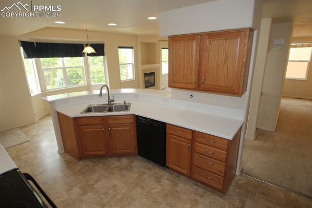 MLS Image for 3738  Tail Wind  ,Colorado Springs, Colorado