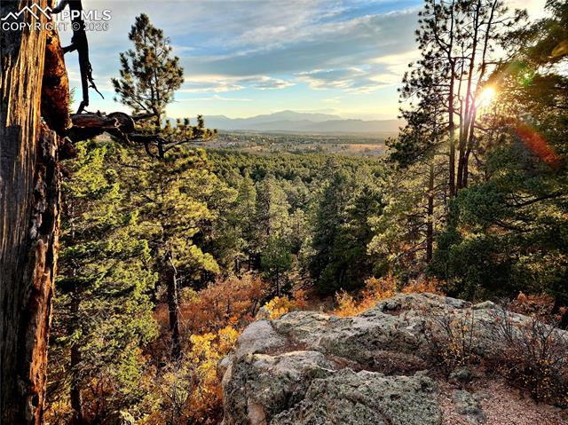 MLS Image for 4450  Walker Ridge  ,Colorado Springs, Colorado