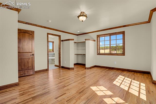 MLS Image for 14060  Black Forest  ,Colorado Springs, Colorado
