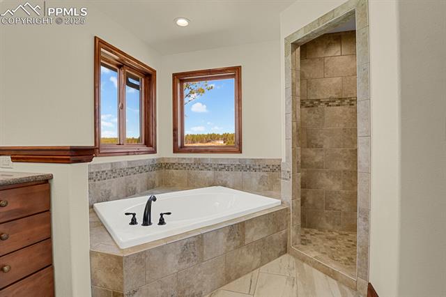 MLS Image for 14060  Black Forest  ,Colorado Springs, Colorado