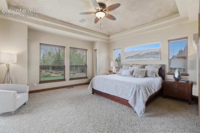 MLS Image for 13485  Cedarville  ,Colorado Springs, Colorado