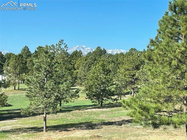 MLS Image for 19050  Archers  ,Monument, Colorado