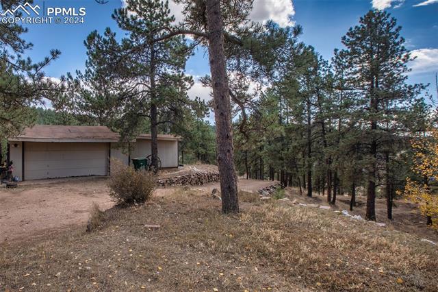 MLS Image for 351  Mesa  ,Florissant, Colorado