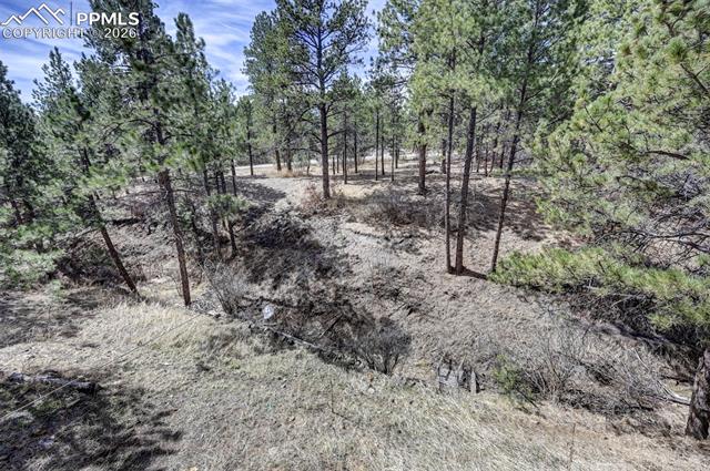 MLS Image for 18320  Sloan  ,Monument, Colorado