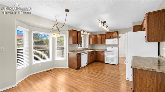 MLS Image for 5040  Culpepper  ,Colorado Springs, Colorado