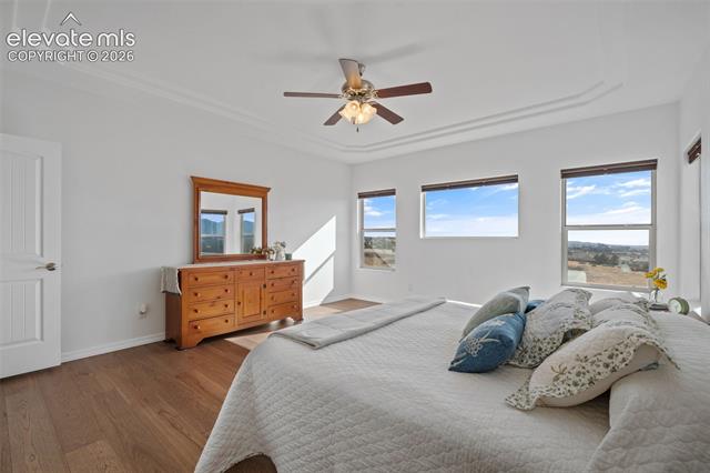 MLS Image for 178  Coyote Willow  ,Colorado Springs, Colorado