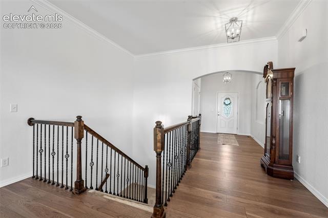 MLS Image for 178  Coyote Willow  ,Colorado Springs, Colorado