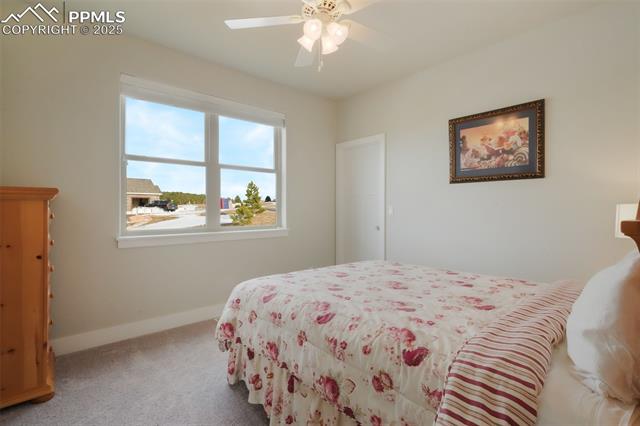 MLS Image for 4016  Needles  ,Colorado Springs, Colorado