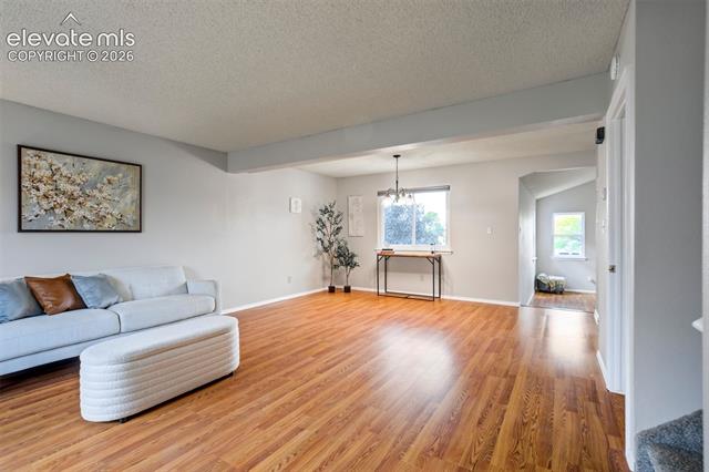 MLS Image for 4955  Galileo  ,Colorado Springs, Colorado