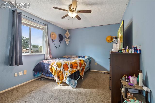 MLS Image for 2516  Anjelina  ,Colorado Springs, Colorado