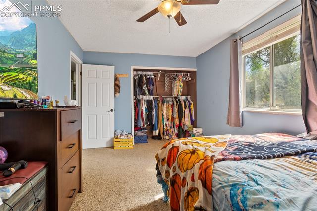 MLS Image for 2516  Anjelina  ,Colorado Springs, Colorado