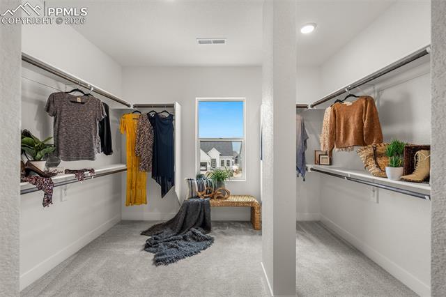 MLS Image for 17137  Alsike Clover  ,Monument, Colorado