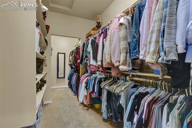 MLS Image for 3650  Hare Haven  ,Colorado Springs, Colorado