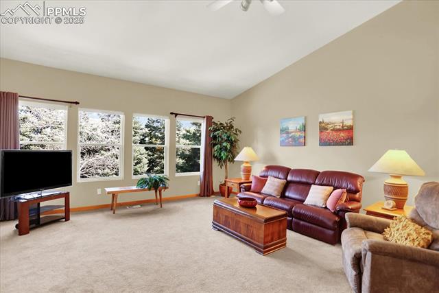 MLS Image for 20210  True Vista  ,Monument, Colorado