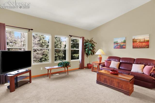 MLS Image for 20210  True Vista  ,Monument, Colorado
