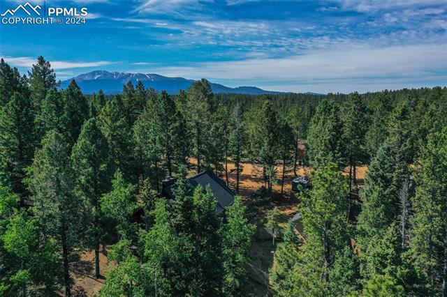 MLS Image for 377  Ridge  ,Divide, Colorado