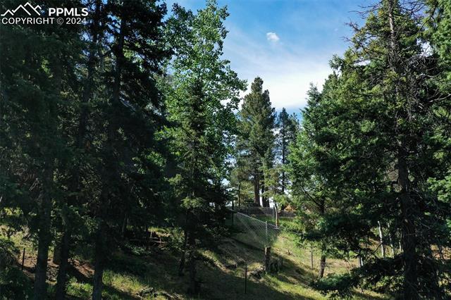 MLS Image for 377  Ridge  ,Divide, Colorado