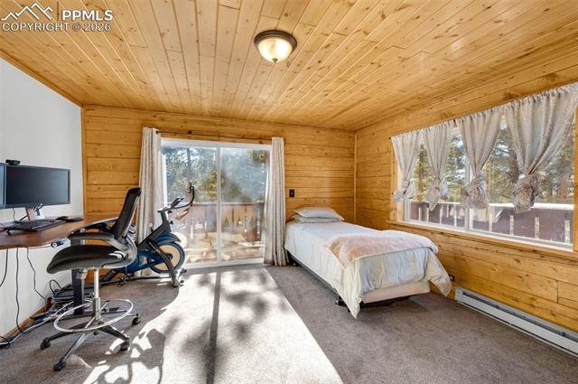 MLS Image for 1276  Pinewood  ,Florissant, Colorado