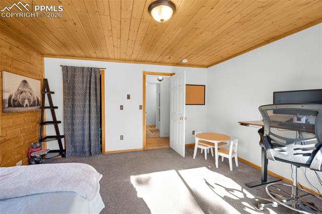 MLS Image for 1276  Pinewood  ,Florissant, Colorado