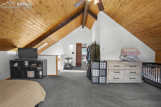 MLS Image for 1276  Pinewood  ,Florissant, Colorado