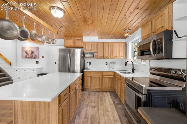 MLS Image for 1276  Pinewood  ,Florissant, Colorado