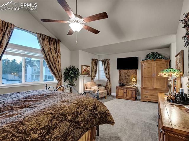 MLS Image for 10433  Odin  ,Colorado Springs, Colorado