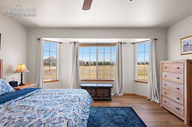 MLS Image for 9736  Cairngorm  ,Colorado Springs, Colorado