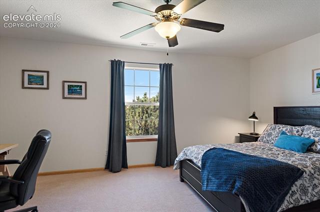 MLS Image for 9736  Cairngorm  ,Colorado Springs, Colorado