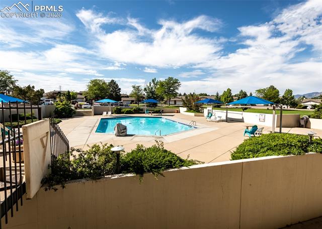 MLS Image for 411  Lakewood  A506 ,Colorado Springs, Colorado