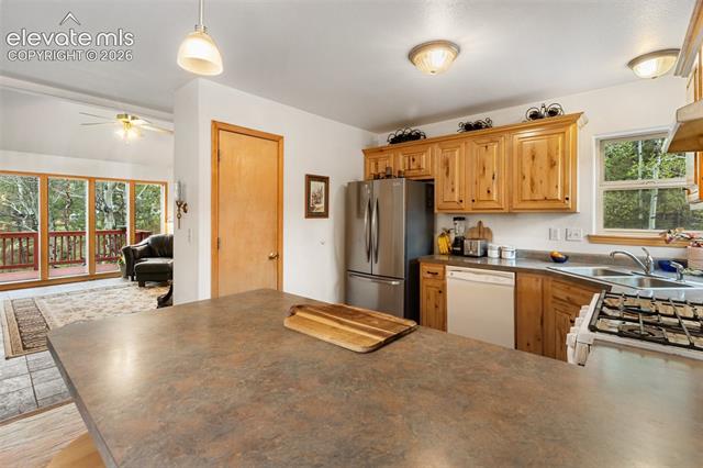MLS Image for 996  Spring Valley  ,Divide, Colorado