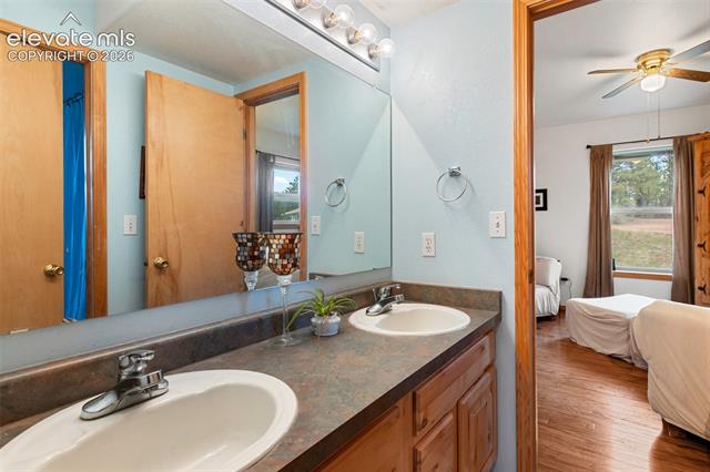 MLS Image for 996  Spring Valley  ,Divide, Colorado