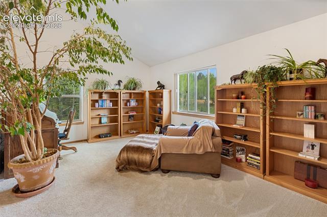 MLS Image for 996  Spring Valley  ,Divide, Colorado