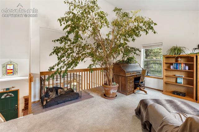 MLS Image for 996  Spring Valley  ,Divide, Colorado