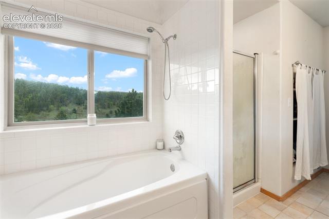 MLS Image for 996  Spring Valley  ,Divide, Colorado
