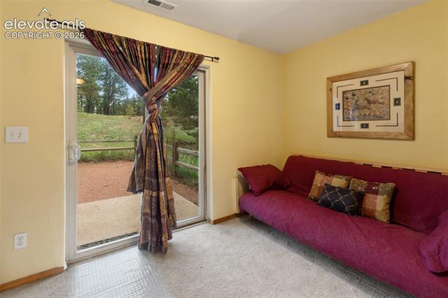 MLS Image for 996  Spring Valley  ,Divide, Colorado