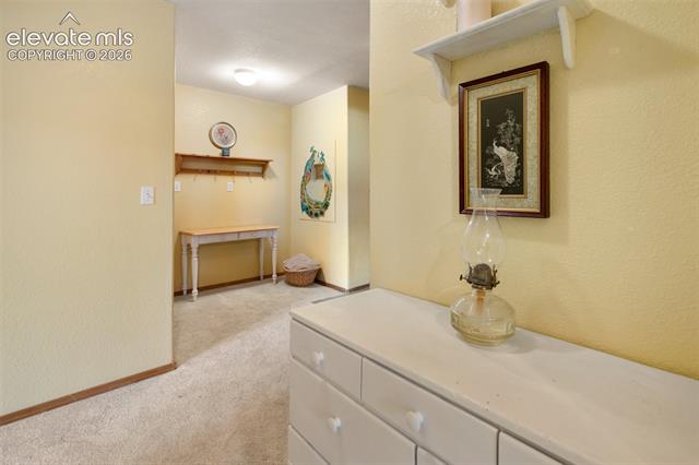 MLS Image for 996  Spring Valley  ,Divide, Colorado