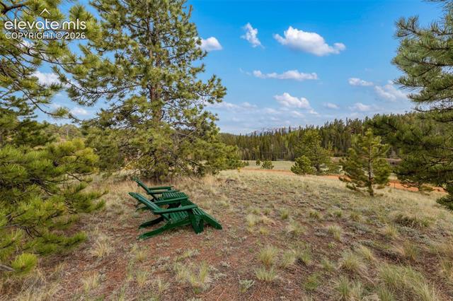 MLS Image for 996  Spring Valley  ,Divide, Colorado