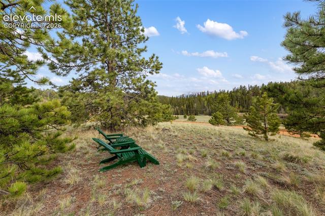 MLS Image for 996  Spring Valley  ,Divide, Colorado