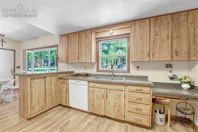 MLS Image for 14225  Ponderosa  ,Colorado Springs, Colorado