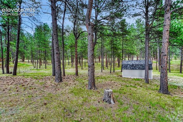MLS Image for 14225  Ponderosa  ,Colorado Springs, Colorado