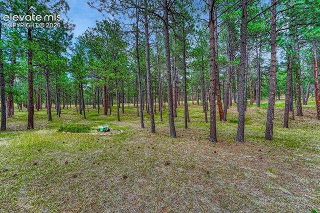 MLS Image for 14225  Ponderosa  ,Colorado Springs, Colorado