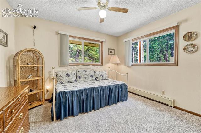 MLS Image for 14225  Ponderosa  ,Colorado Springs, Colorado
