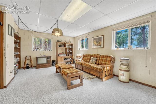 MLS Image for 14225  Ponderosa  ,Colorado Springs, Colorado
