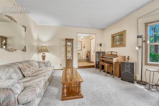 MLS Image for 14225  Ponderosa  ,Colorado Springs, Colorado
