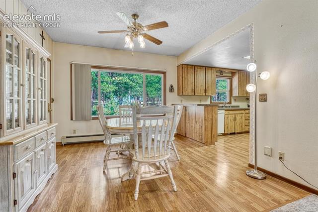 MLS Image for 14225  Ponderosa  ,Colorado Springs, Colorado