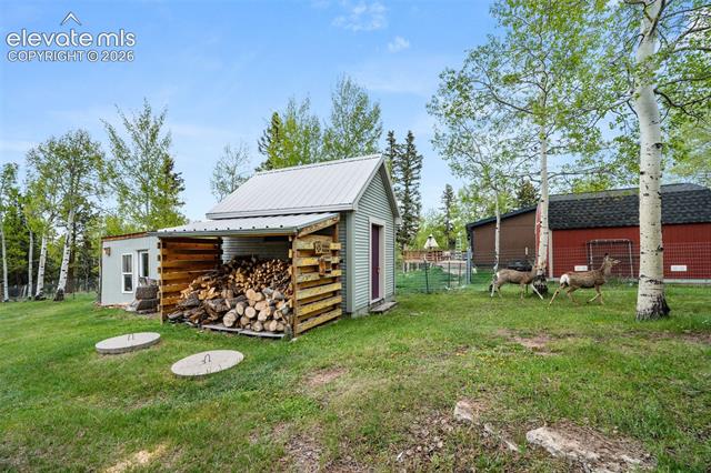 MLS Image for 33  Maid Marian  ,Divide, Colorado